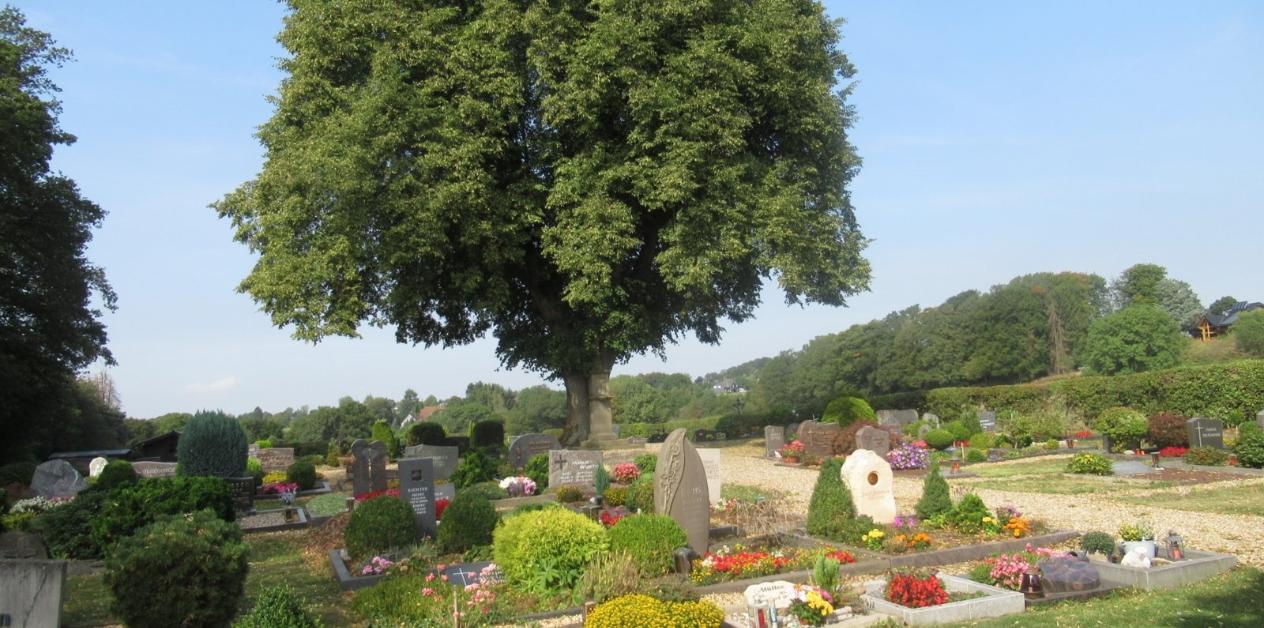 Friedhof Grunewald