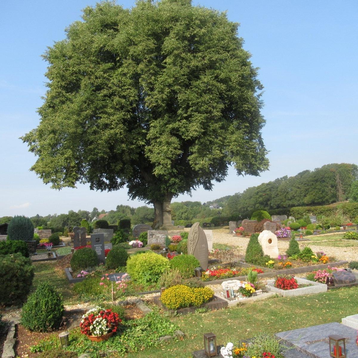 Friedhof Grunewald