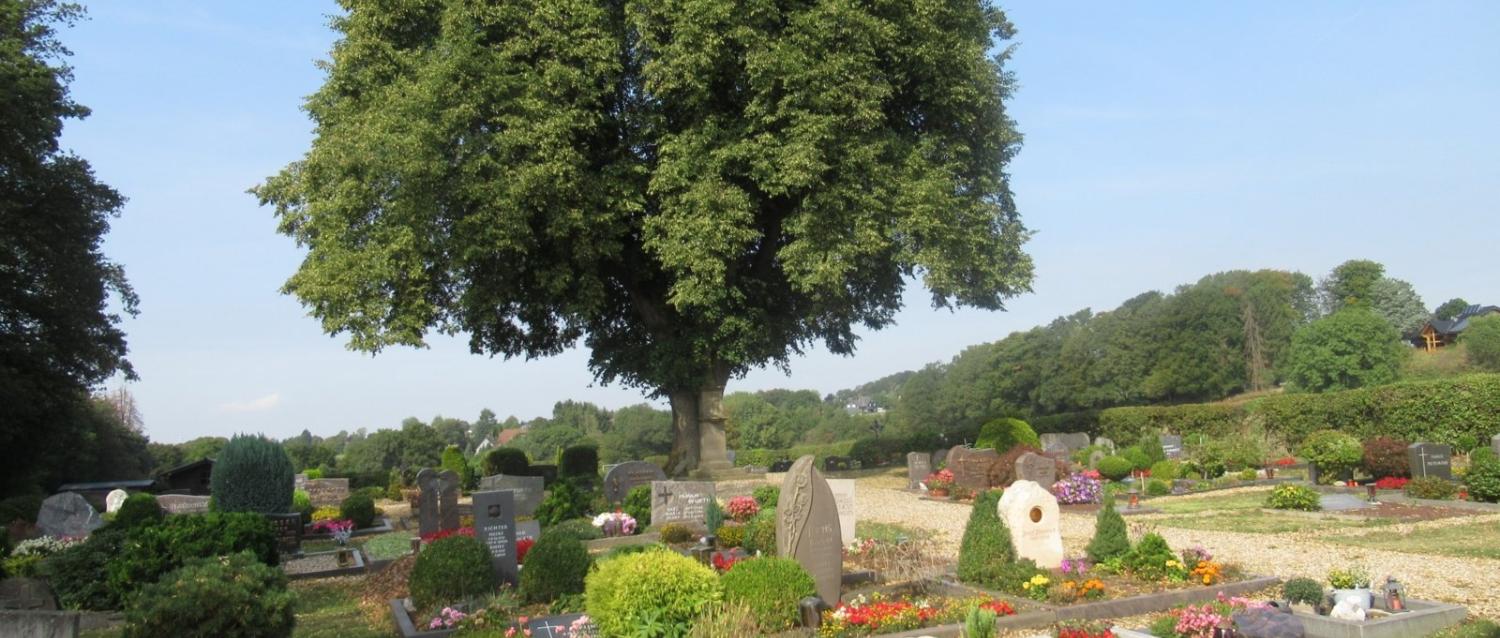 Friedhof Grunewald