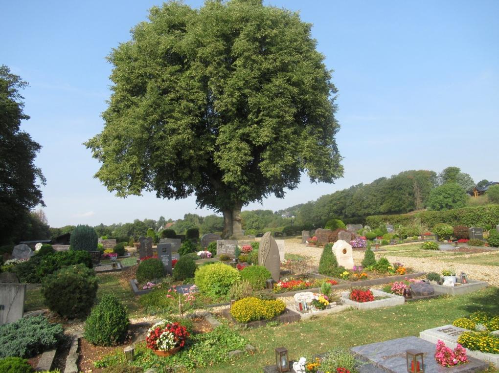 Friedhof Grunewald