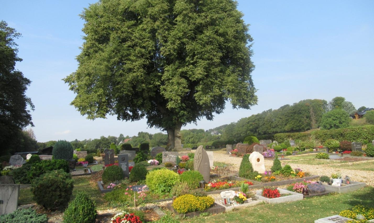 Friedhof Grunewald