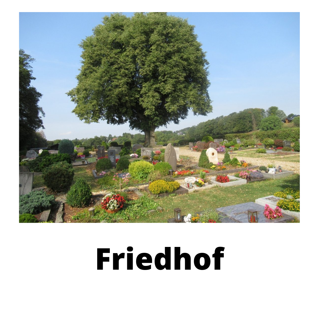 Friedhof